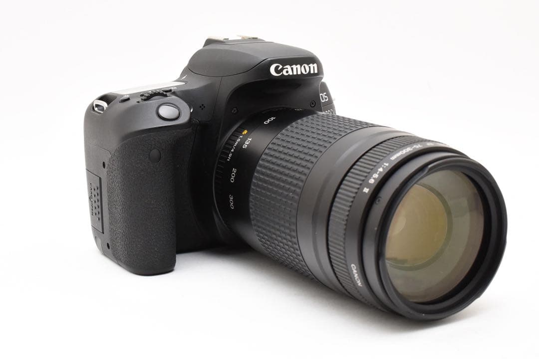 デジタル 一眼レフ カメラ Canon EOS 9000D 望遠レンズセット