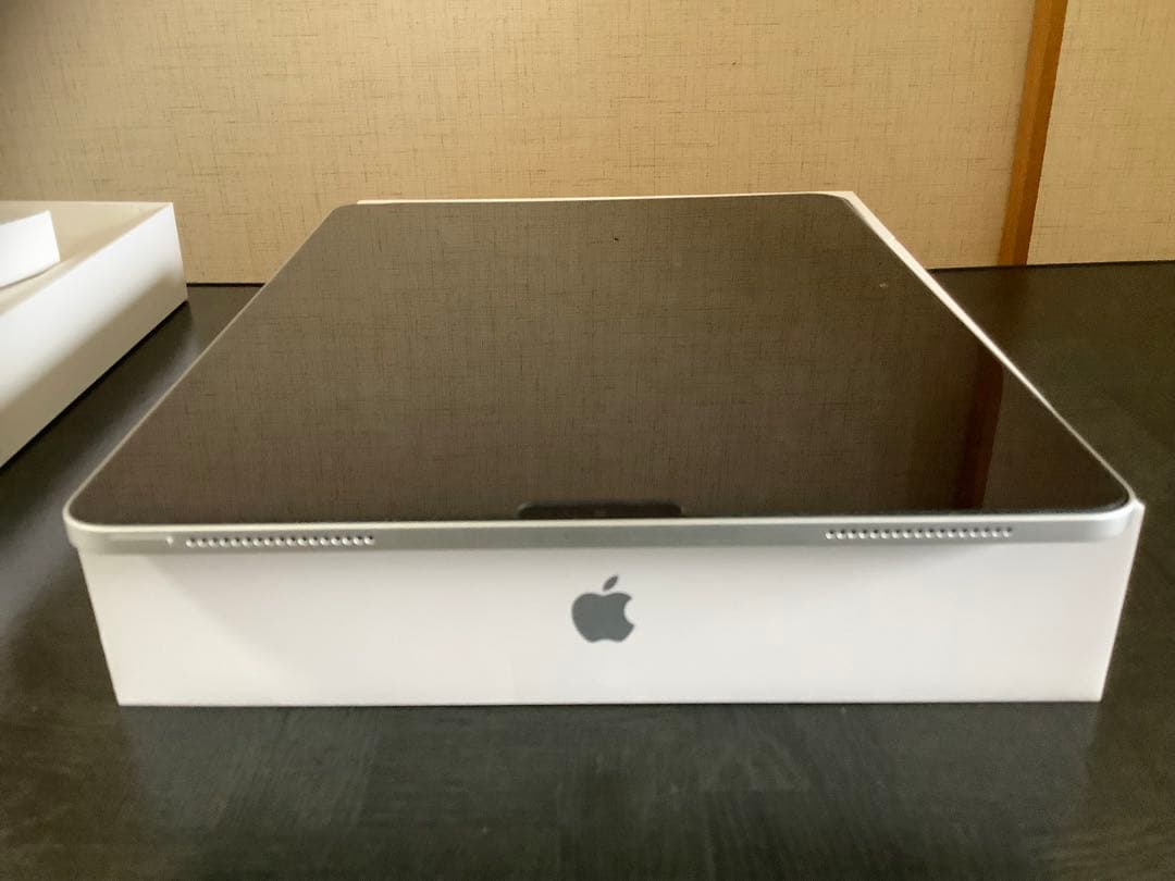 iPad Pro 第4世代 12.9インチ256GB Apple Pencil