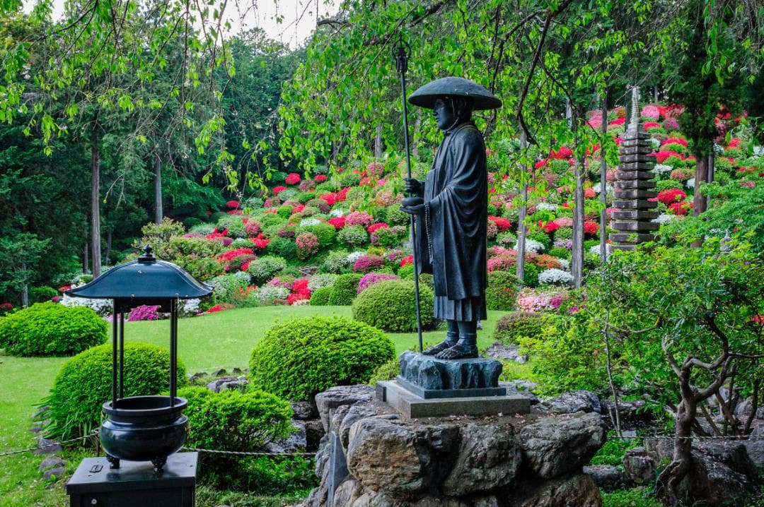 美品 Nikon AF Nikkor 35mm f/2D レンズ – 日本製