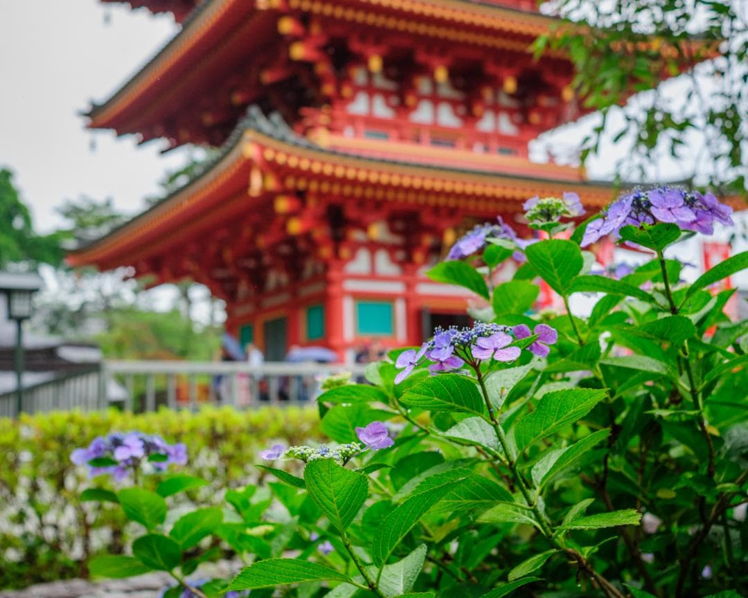 美品 Nikon AF Nikkor 35mm f/2D レンズ – 日本製