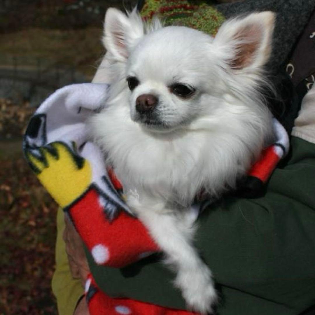 【試写済】Nikon Ai NIKKOR 24mm F2