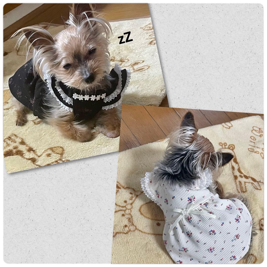 ハンドメイド犬服　ワッフルニットのキャミワンピ　色違い３色　お袖2段レース