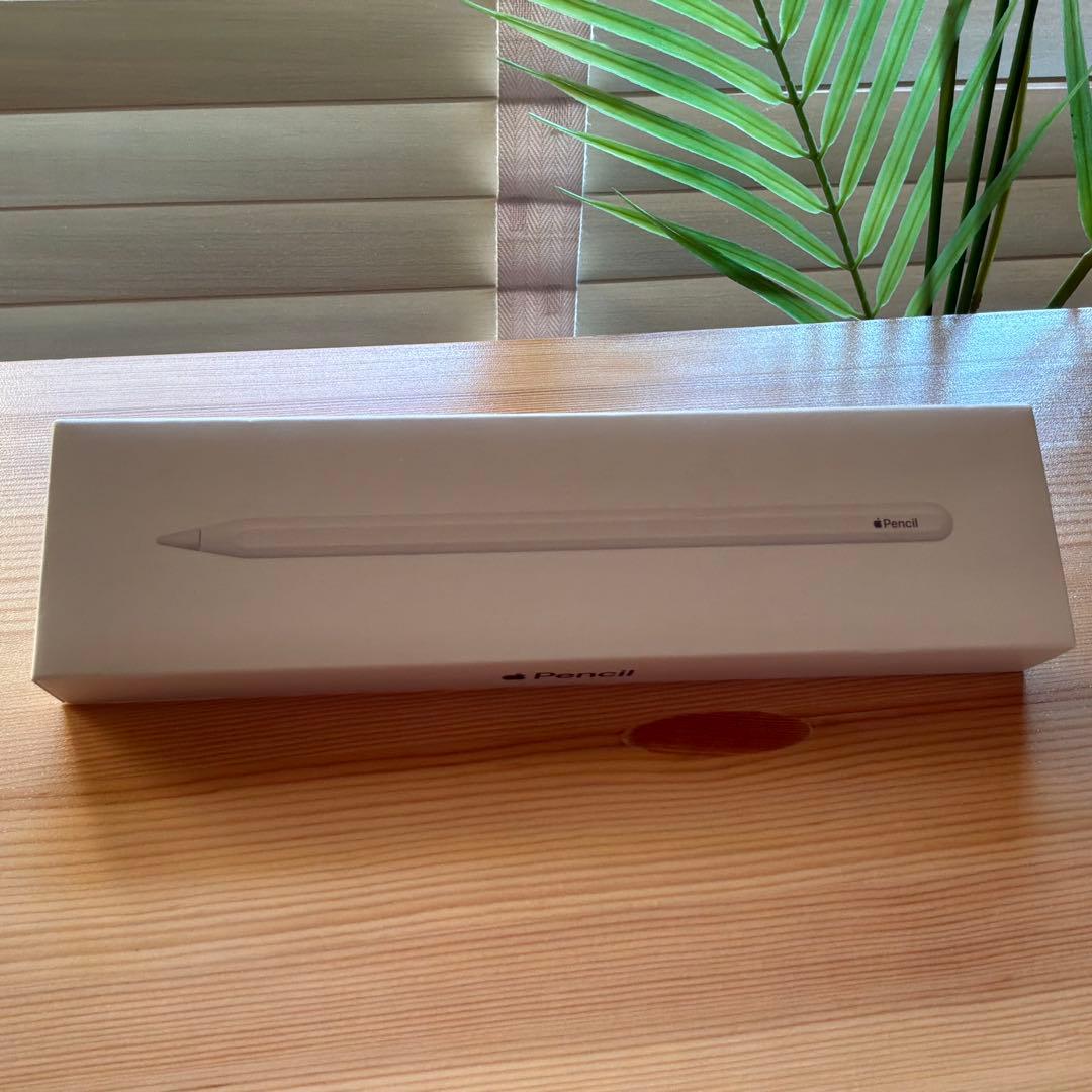 Apple Pencil アップル ペンシル 第2世代 ＜純正品/専用ケース付＞