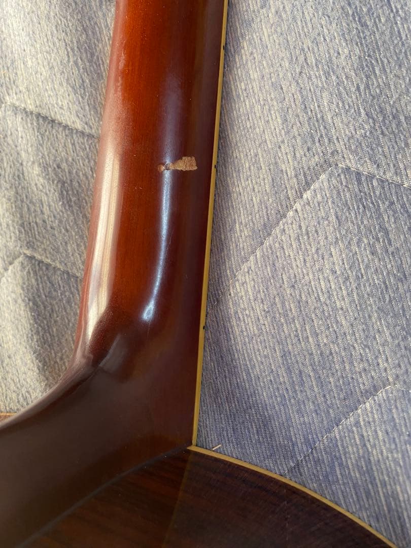 ギター yamaki YF- 50