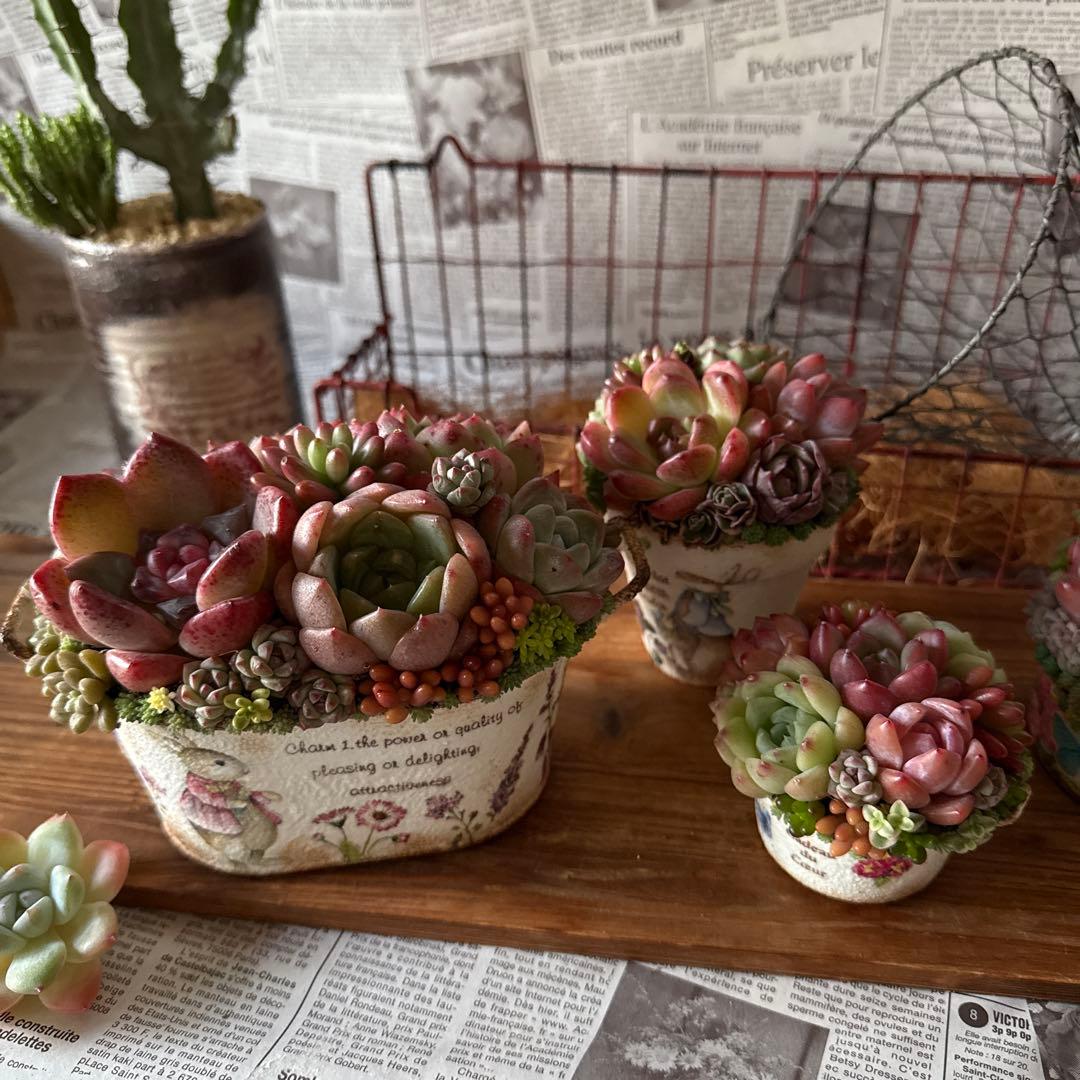 ★Rabbit♡リメイク鉢★そのまま飾れる多肉植物の寄せ植えちまちまリメ鉢