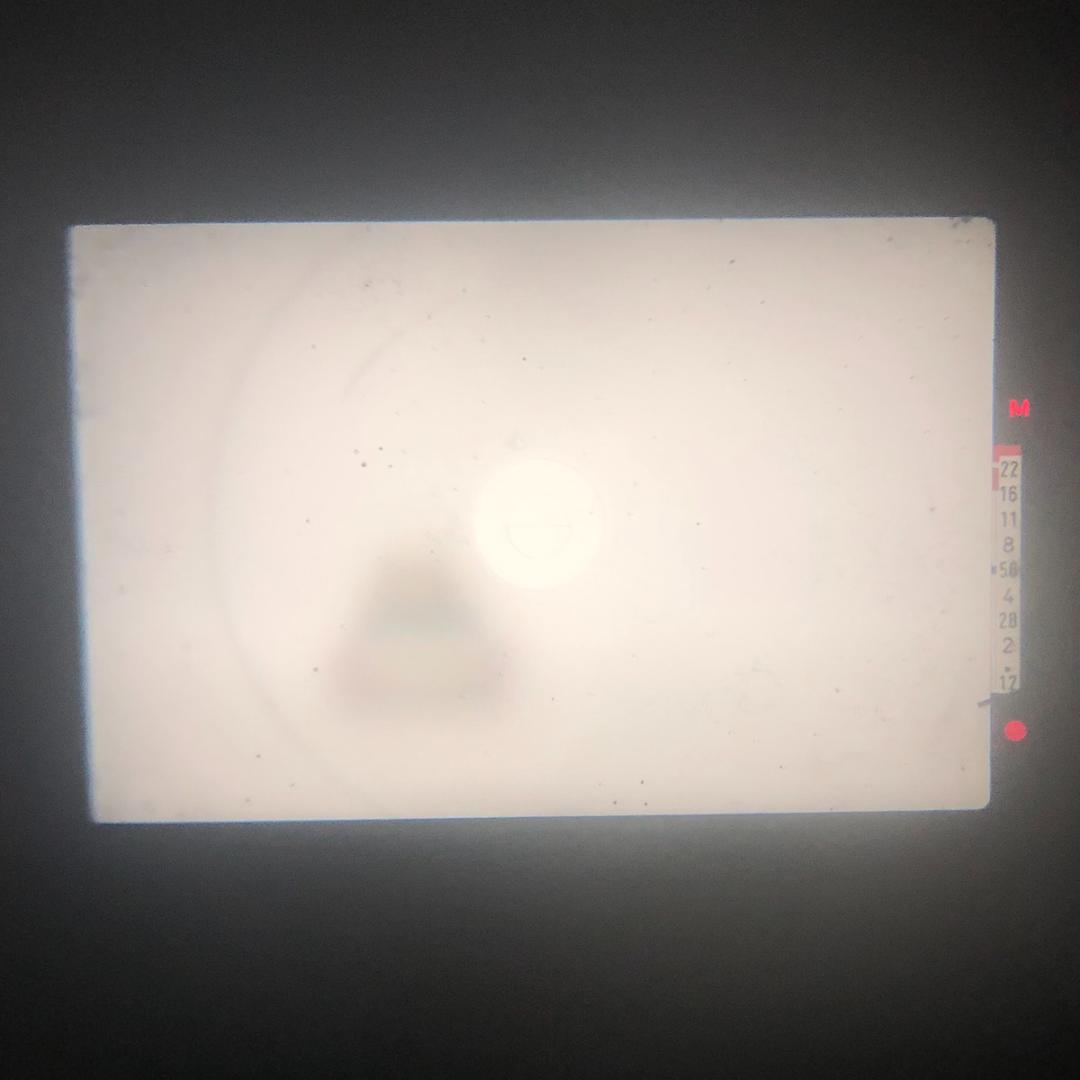 【C6841】《分解清掃済み》 キヤノン AE-1+FD 50mm F1.4