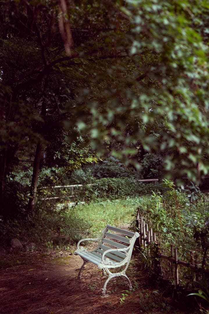 【週末限定価格】SONY α6400＋E35mm F1.8セット　ミラーレス一眼