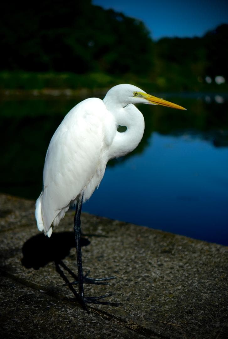 【週末限定価格】SONY α6400＋E35mm F1.8セット　ミラーレス一眼