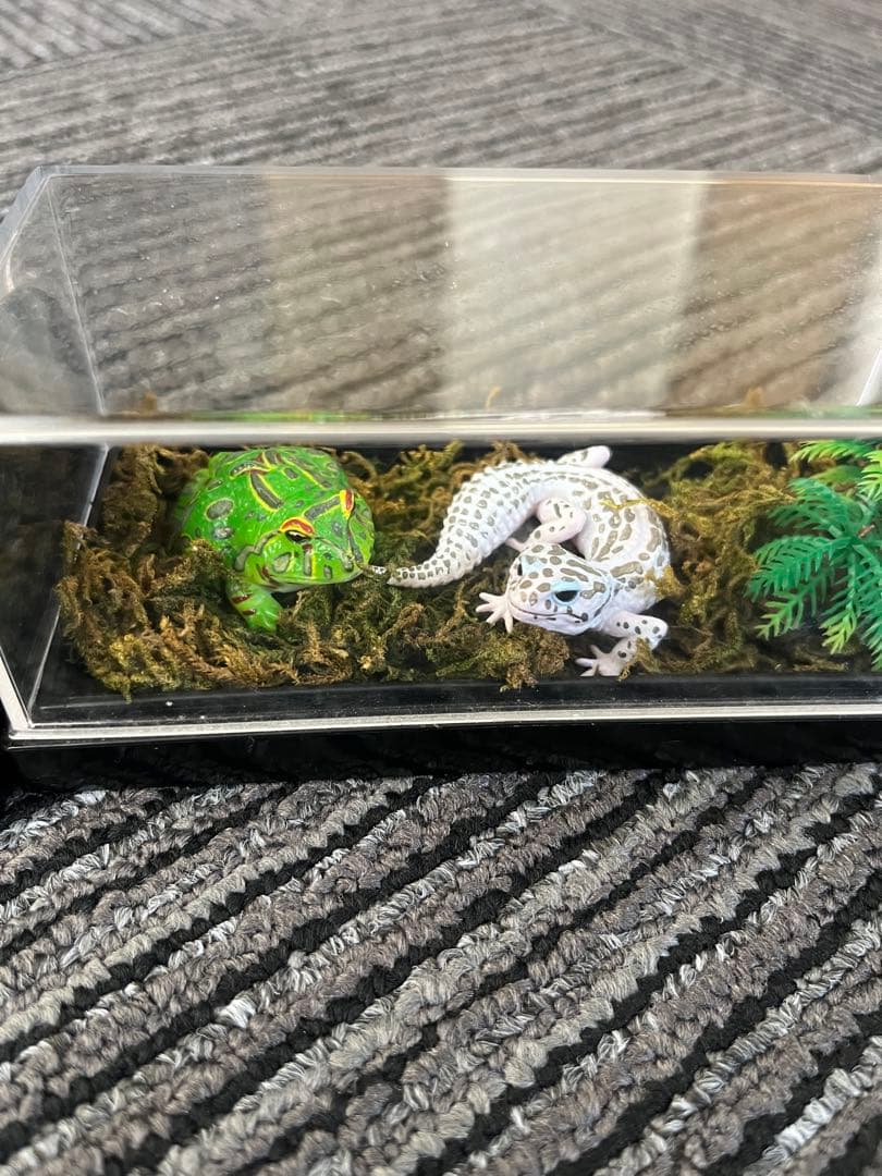 爬虫類　両生類　コレクション