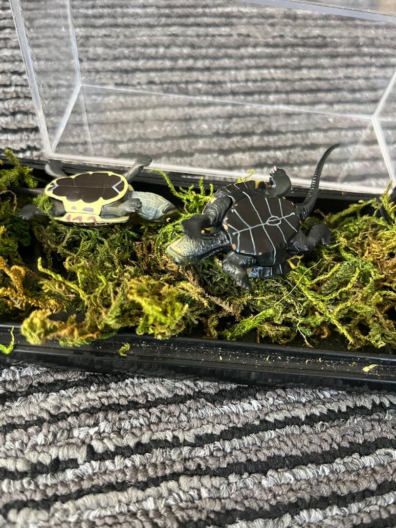 爬虫類　両生類　コレクション