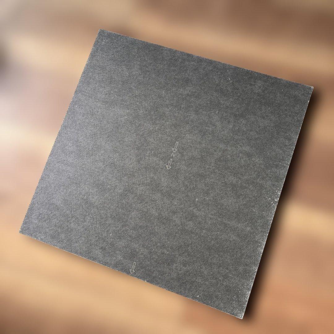 防音　防ダニ　防炎　洗えるカーペット　茶　静床ライト 品番N20 12枚セット