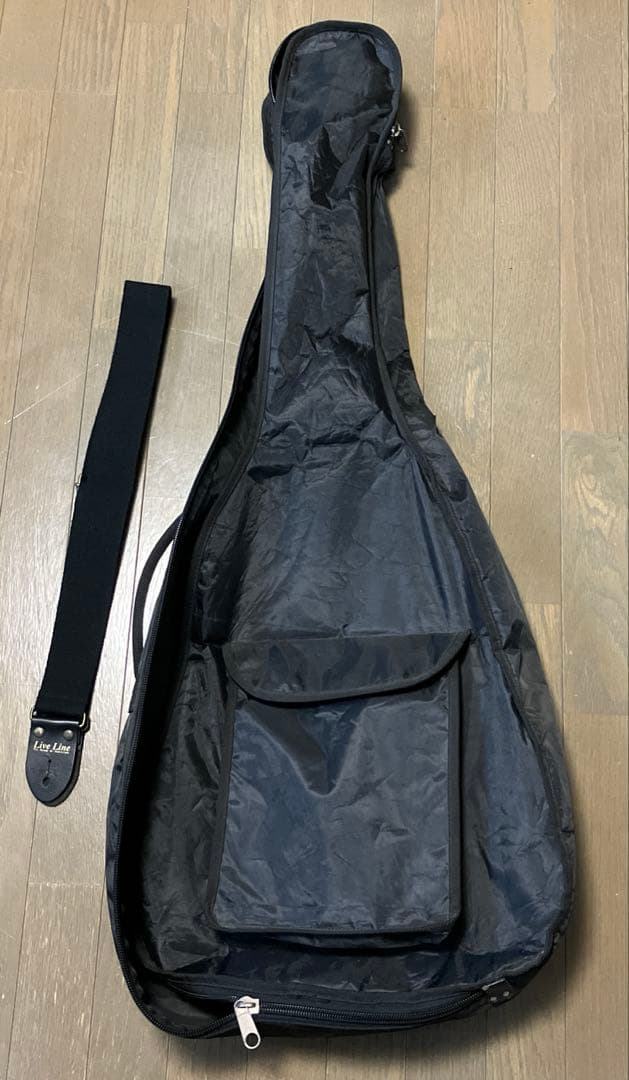 Takamine D21-WR DragonSeries アコースティックギター