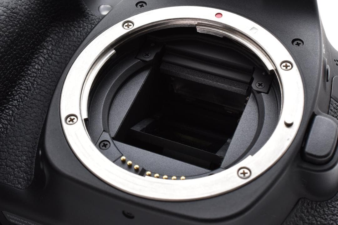 キヤノン CANON EOS80D ボディ