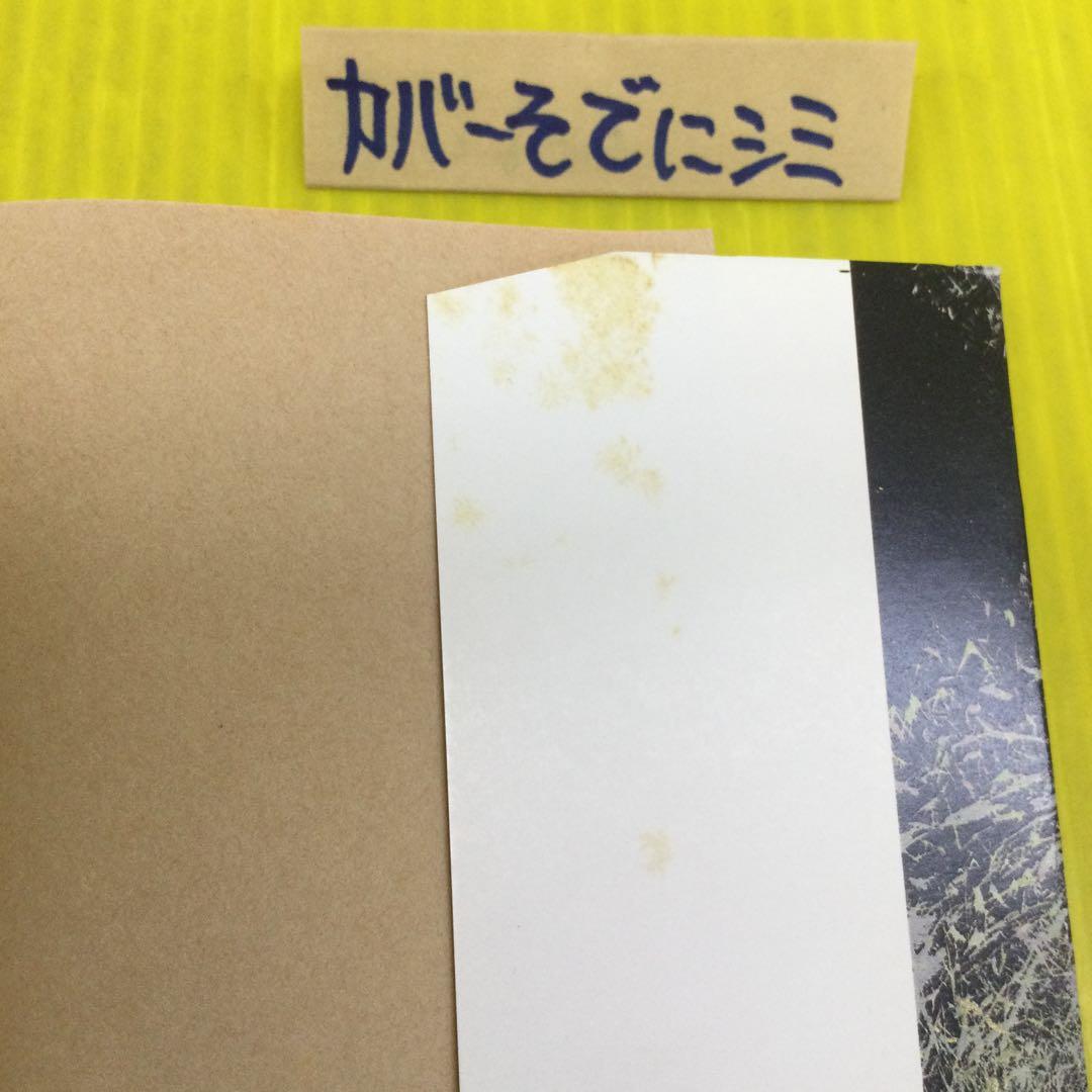 輪廻転生の中で 徳山暉純著 暉