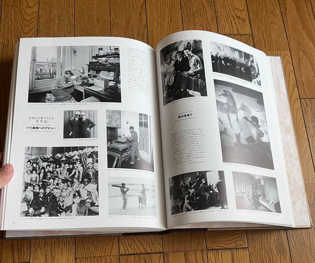 藤田嗣治画集 素晴らしき乳白色