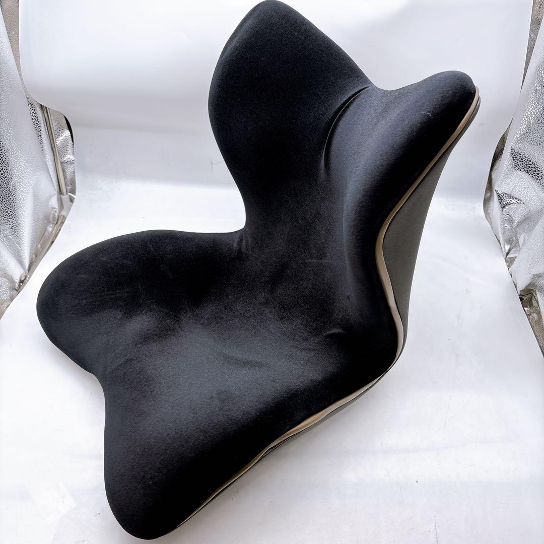 Style PREMIUM DX スタイル プレミアム デラックス　ブラック