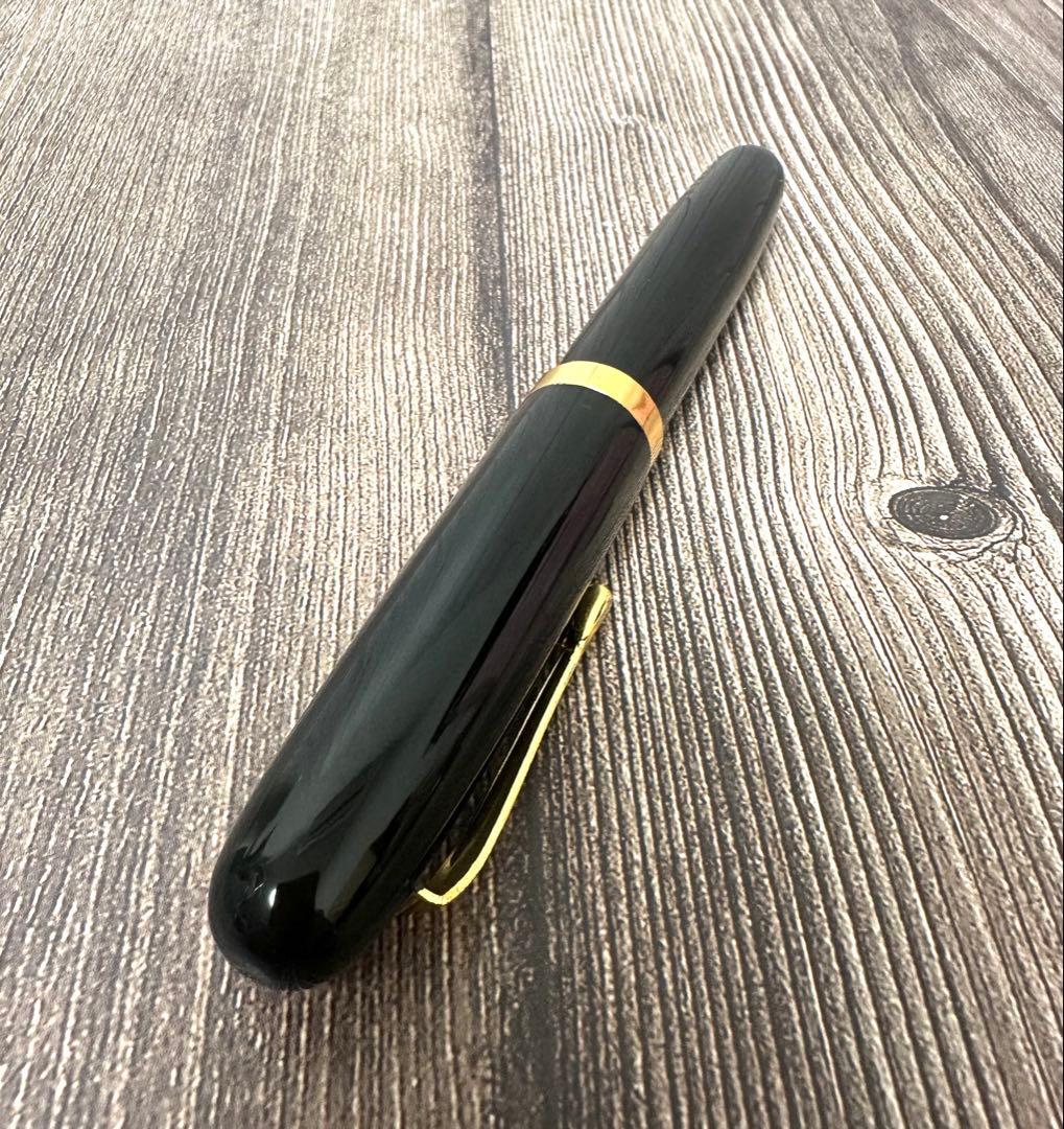 WARRANTED ワランテッド イリドスミン 万年筆 14K