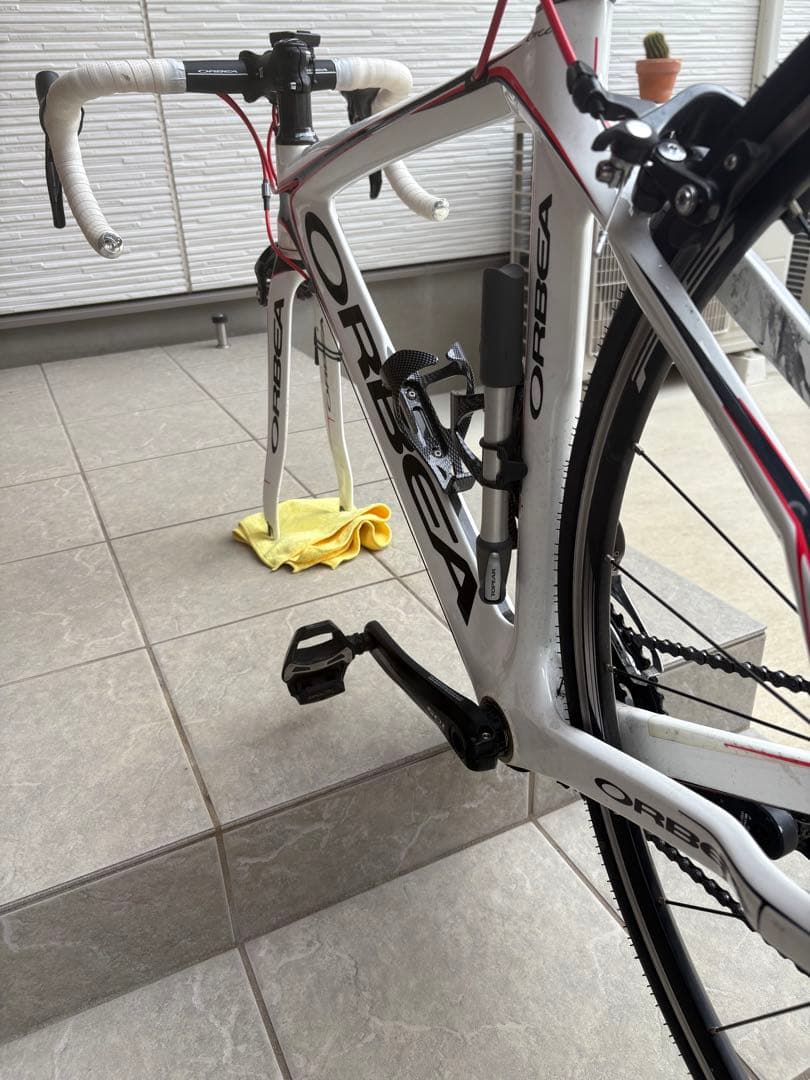 オルベア　オルカ　ブロンズ　2013年製