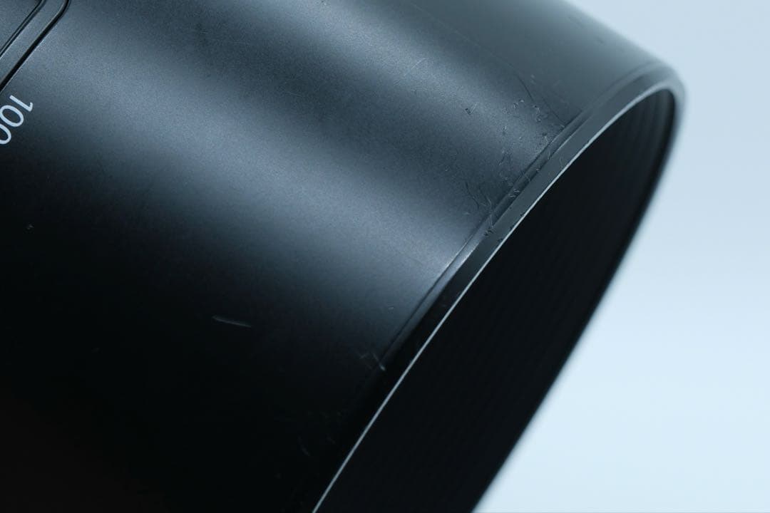 ダンシングフィッソン族 　XF100-400