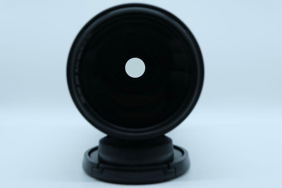 ダンシングフィッソン族 　XF100-400