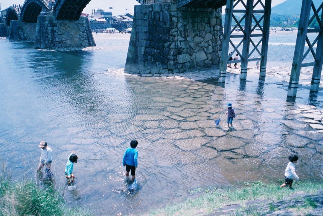 富士フィルム NATURACLASSICA ナチュラクラシカ
