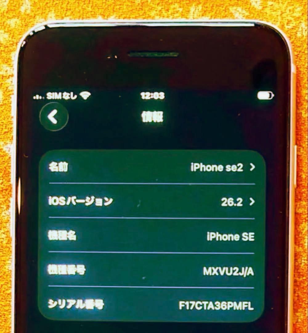 iPhone SE2 256GB 電池100% SIMフリー 外観美品 ジャンク