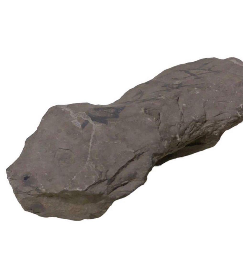 縄文期　神社内出土　磨製石器　大正期発掘　古代石斧/古代石器 土器