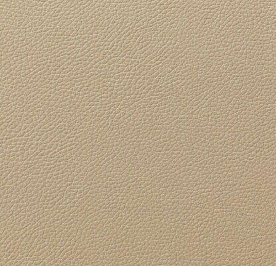 電動リクライニングパーソナルチェア（2モーター LE01-2 BE）