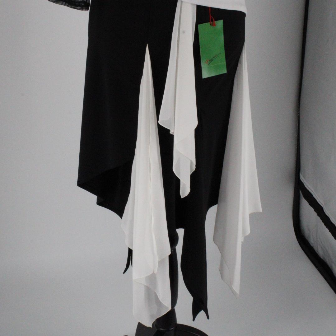 【美品 日本製 社交ダンス衣装】Pastime パスタイム ブラウス スカート