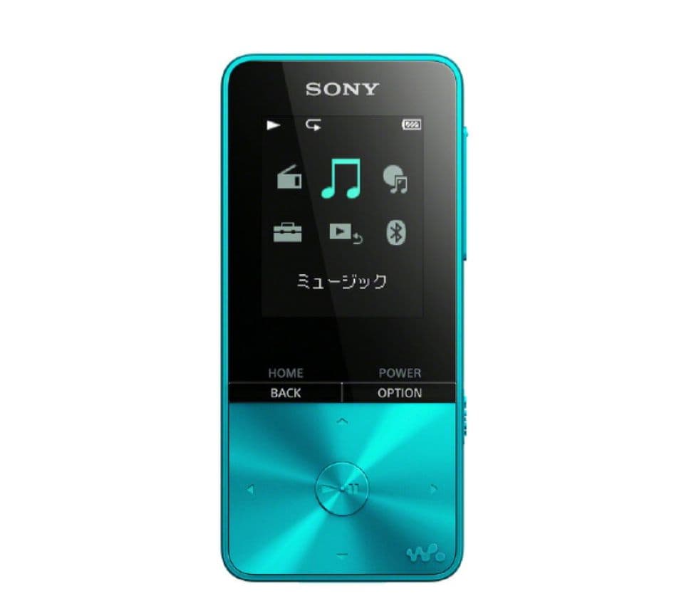 SONY デジタルオーディオプレイヤー(4GB) ウォークマン NW-S313