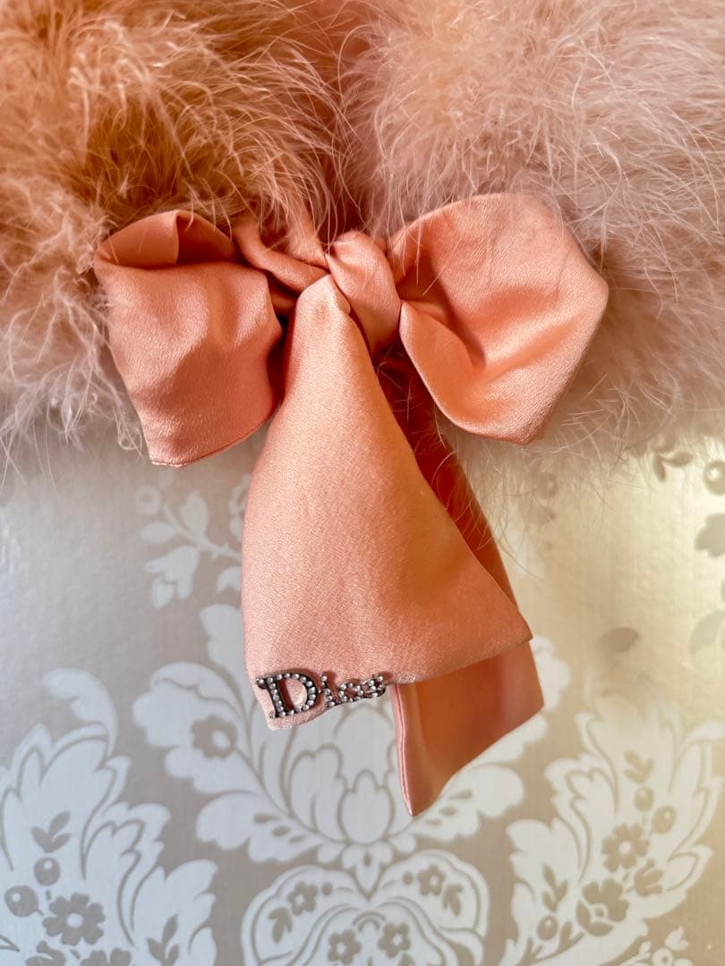 Dior ディオール パリ