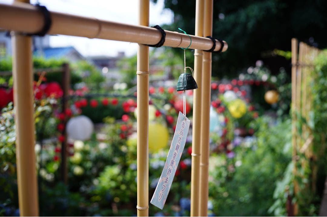 レンズ(単焦点) Voigtlander NOKTON classic 40mm F1.4 M.C