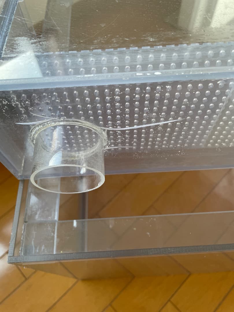 オーバーフロー水槽 ガラス製