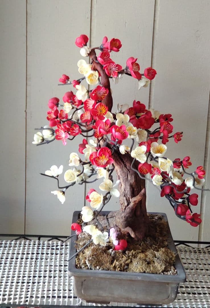 工芸盆栽 梅（赤・白）約60cm