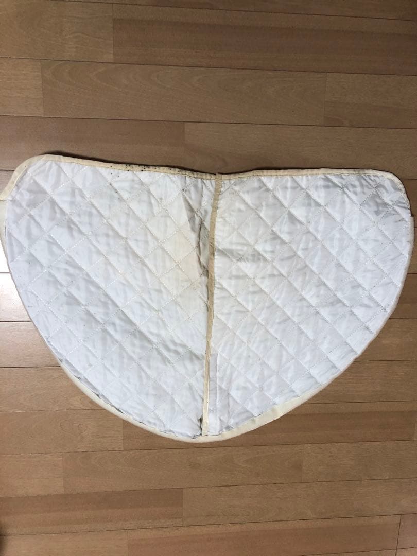 フジカ　スマーティ