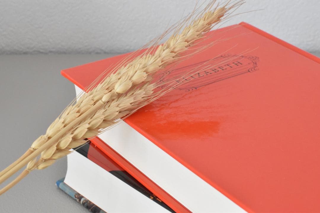 【美品】Nikon NIKKOR 非Ai 50mm F1.4 単焦点 レンズ