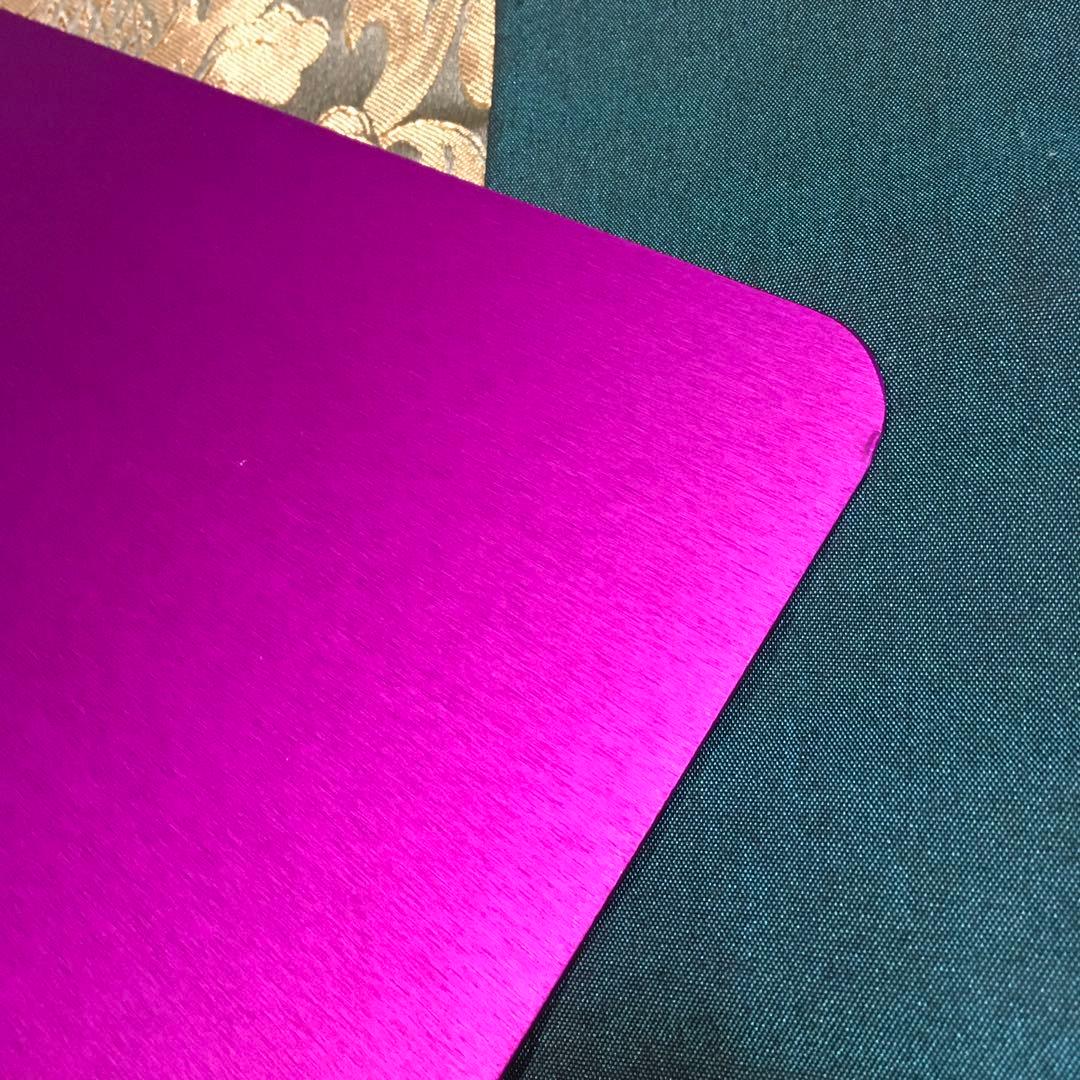 テスラ　パープルプレート　Lサイズ二枚セット