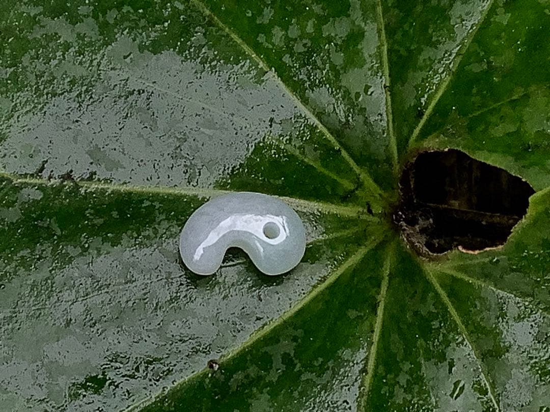 ✳極上の端材より作製‼️糸魚川翡翠勾玉ジェダイト　鑑定鑑別書付　綺麗な肌目色の勾玉