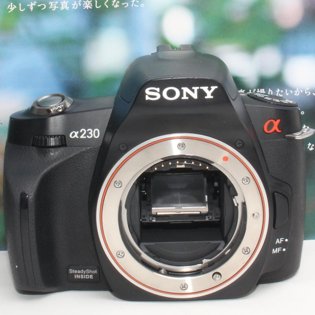 ❤️最高の一瞬を残し切る❤️ソニー DSLR-A230 トリプルズーム❤️