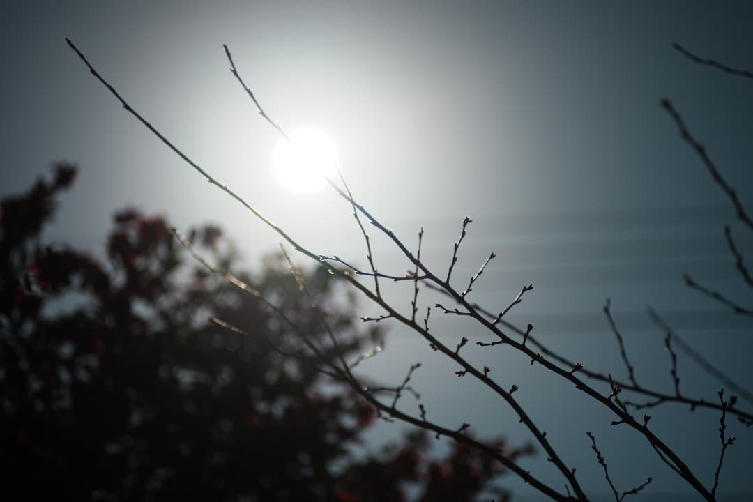 【整備＆テスト済】SMC PENTAX-A 135mm F2.8 503