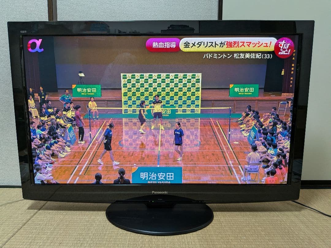 送料込み Panasonic VIERA プラズマテレビ 46V型 2010年製