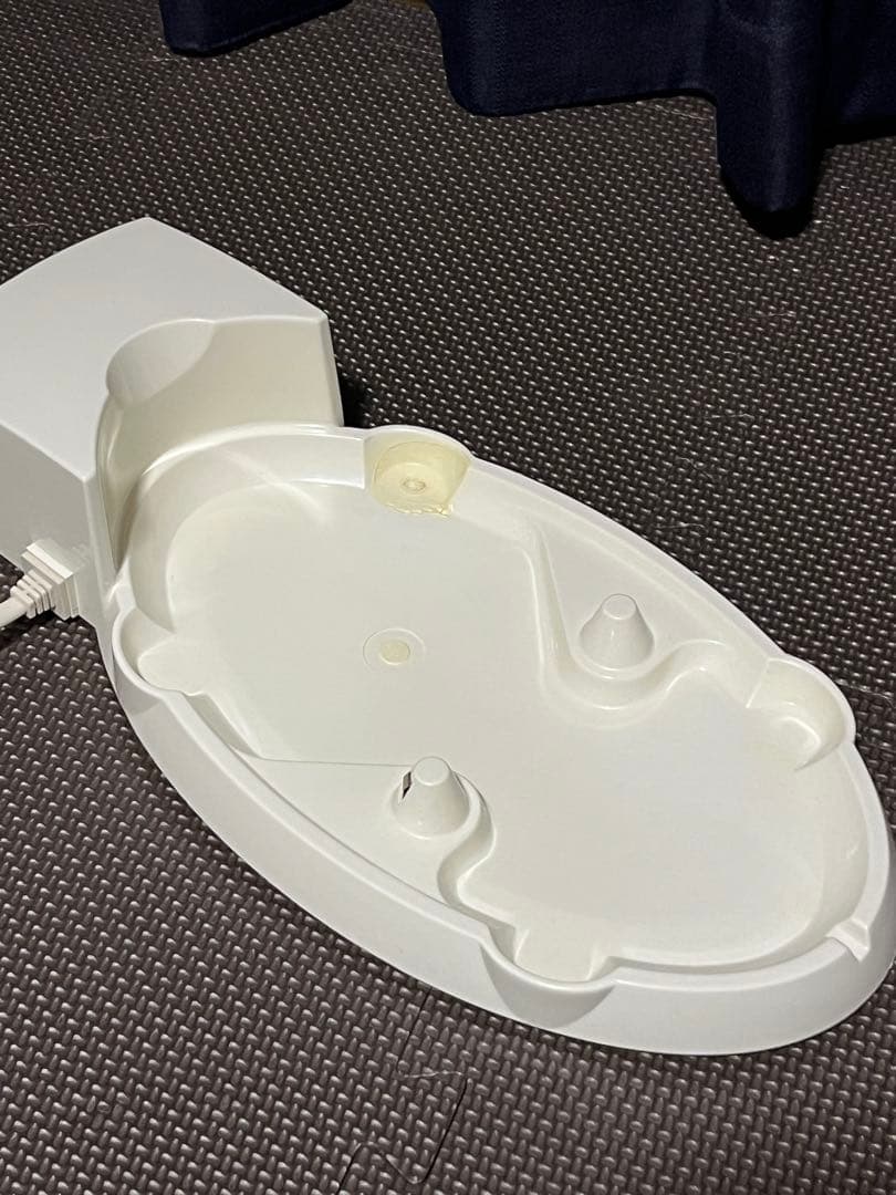 リコー 頭皮洗浄器 ケアナケア 8T36 バイオテック ナノダーマル オイル付き