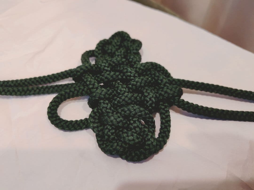 豊田愛山堂　訶梨勒