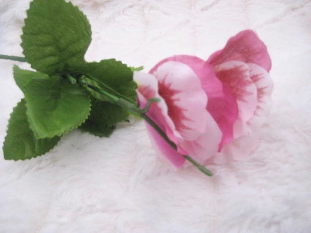 Canon IXY DIGITAL 10 シルバー