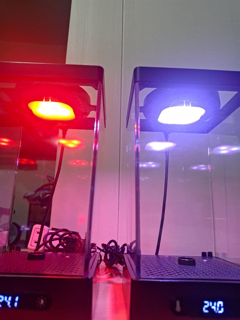 ベタ専用水槽 スマートタンク ヒーター LED内蔵 温度調節