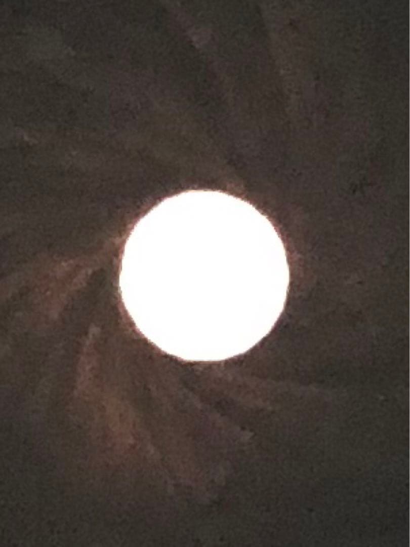 希少 Heinz Kilfitt 600mm F5.6 Nikon マウント