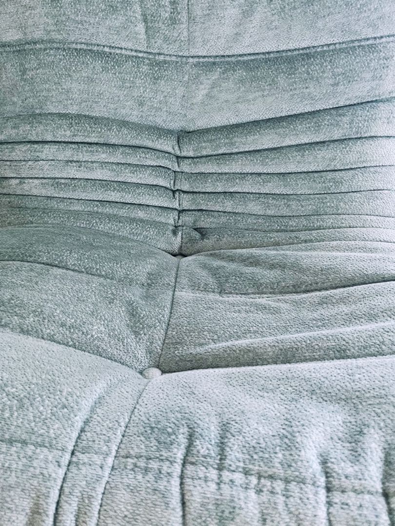 SALE❗️ligne roset ROSETTOGO 2P グリーン　ブルー