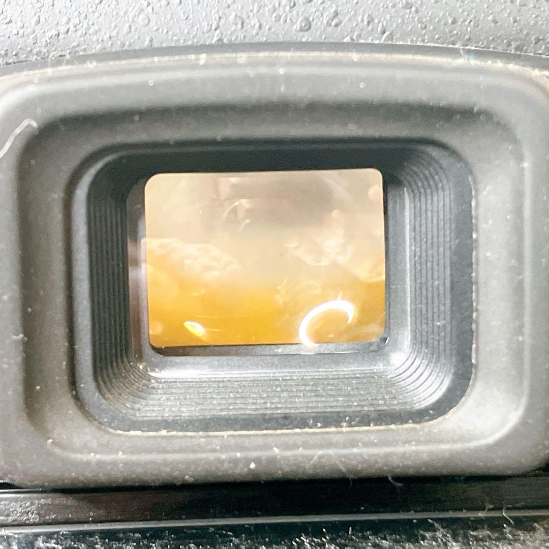 まずまず美品】 Nikon F80 レンズキット