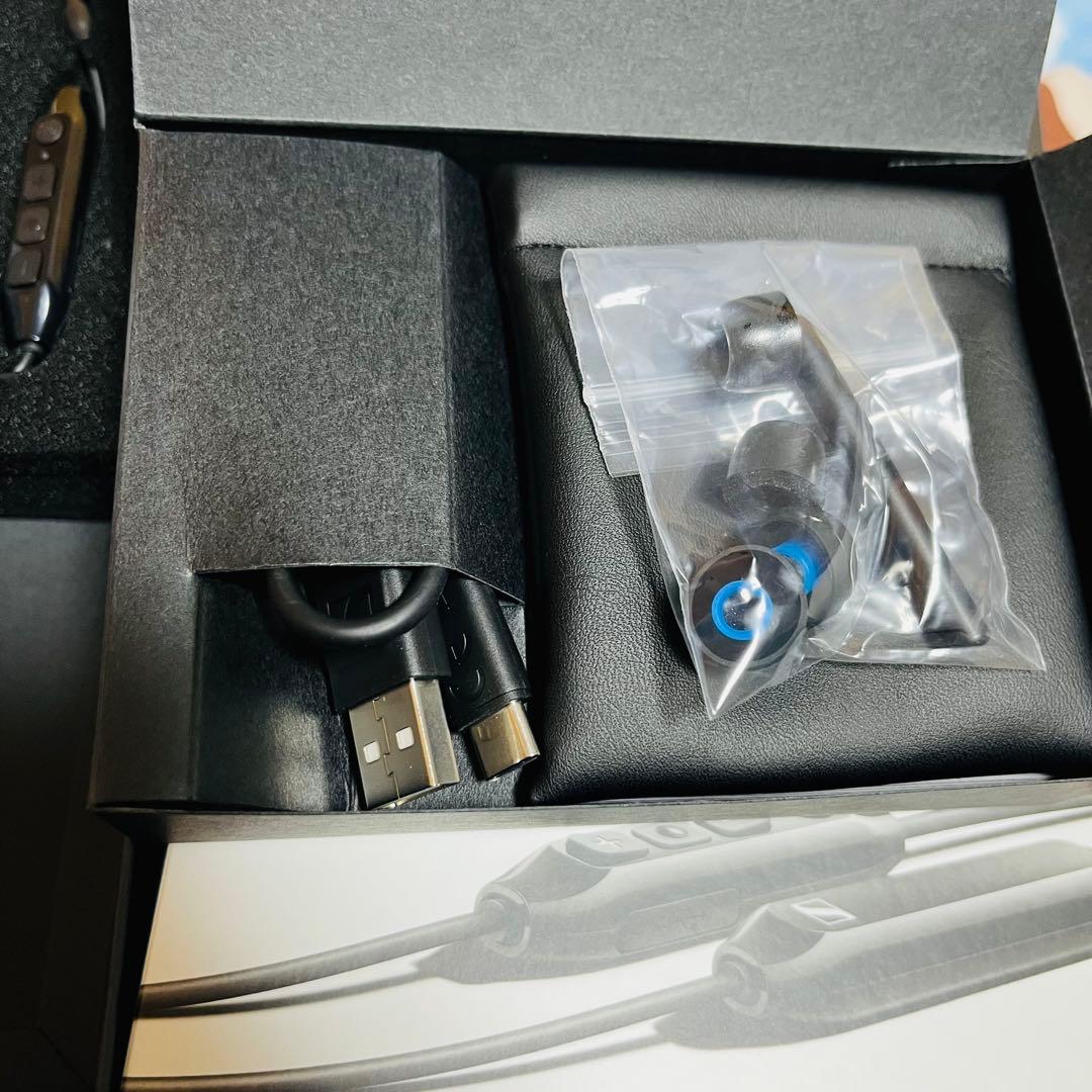 イヤホン SENNHEISER IE 100 PRO WIRELESS