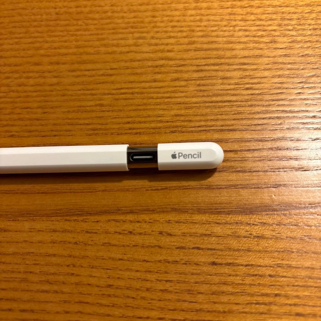iPadアクセサリー Apple Pencil USB-C
